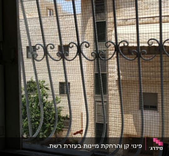 חלון עם רשת למניעת כניסת יונים